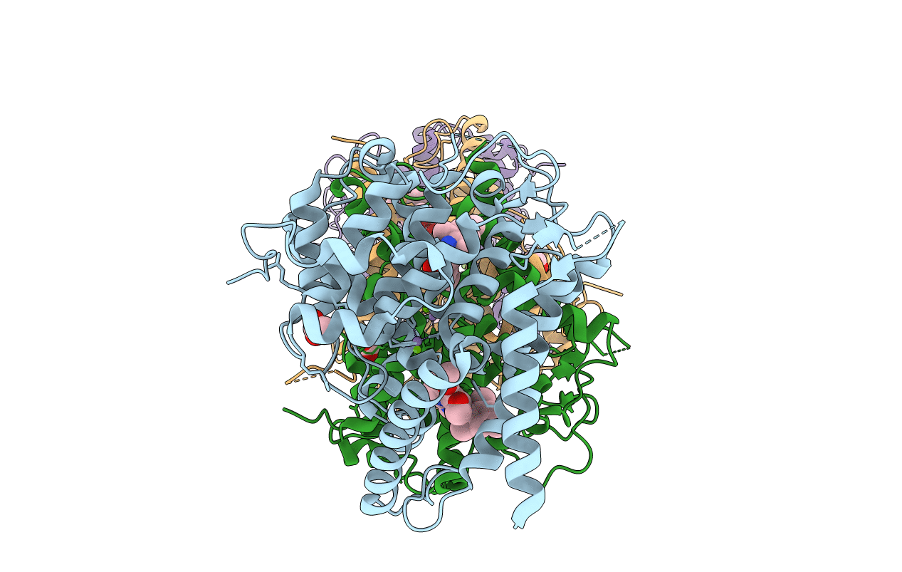 7L28 image