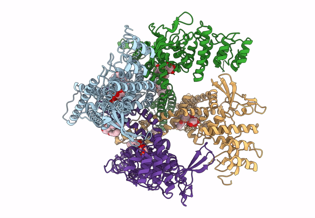 7L2H image