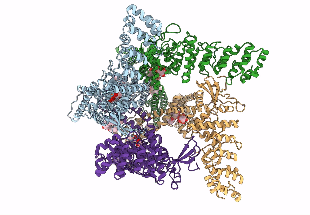 7L2S image