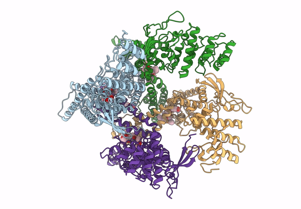 7L2V image