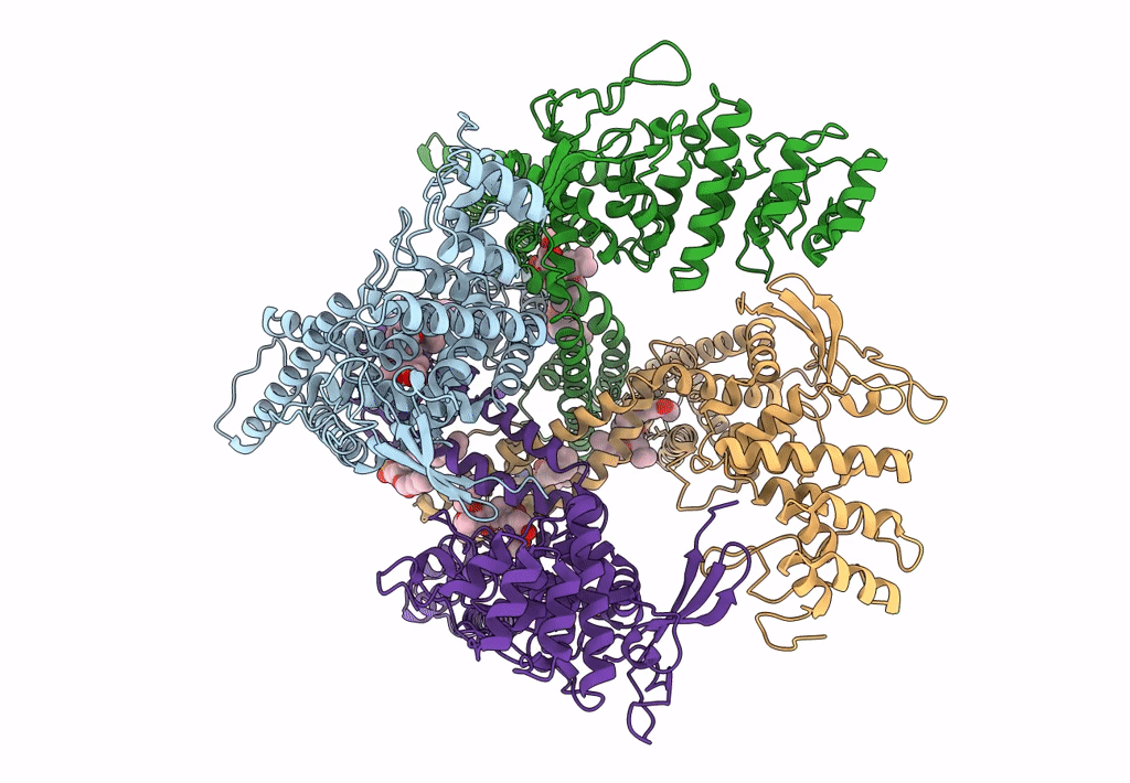 7L2W image