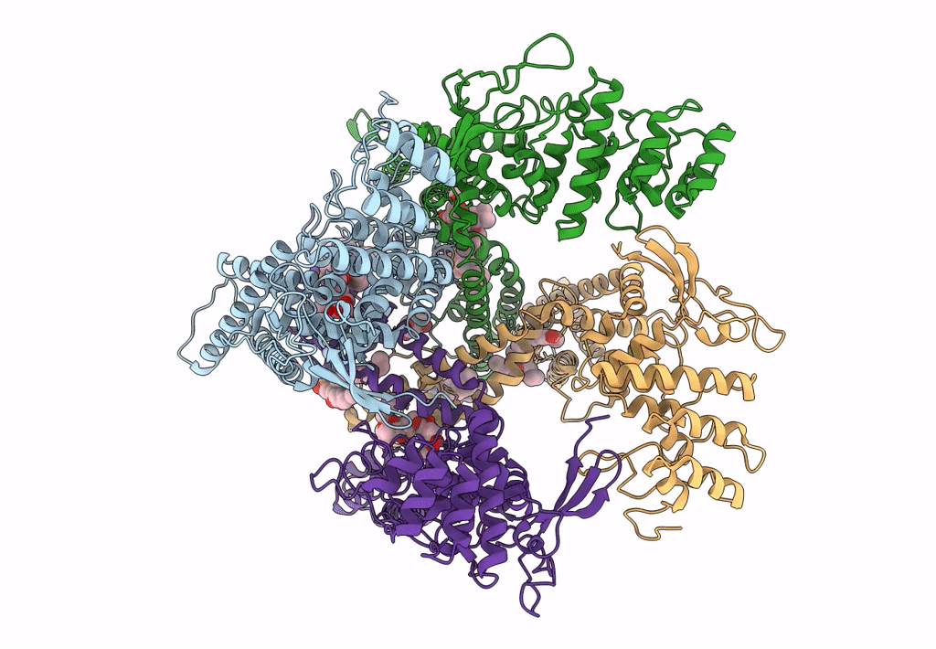7L2X image