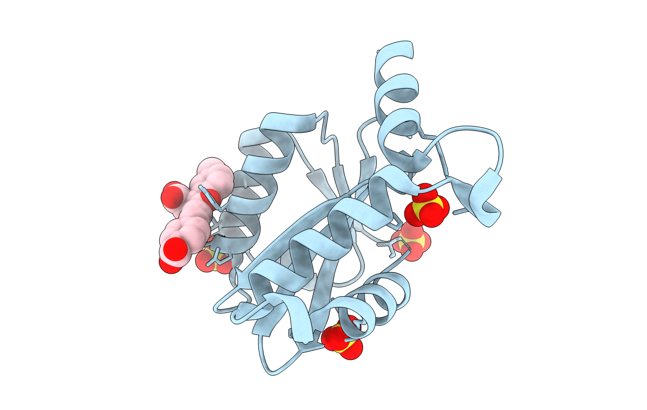 7L2Y image