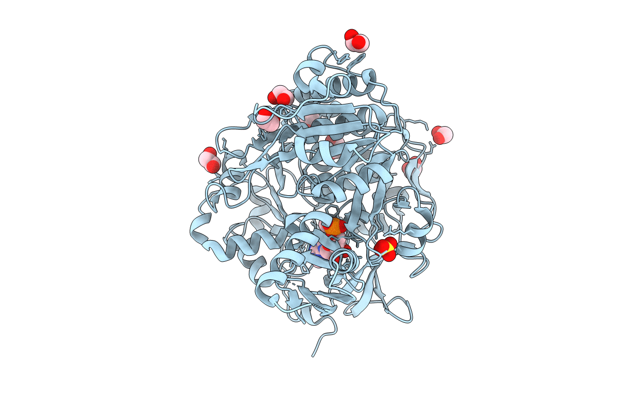 7L3P image