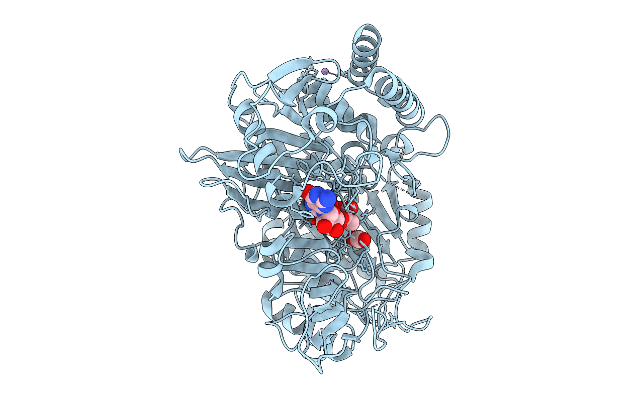 7L3V image