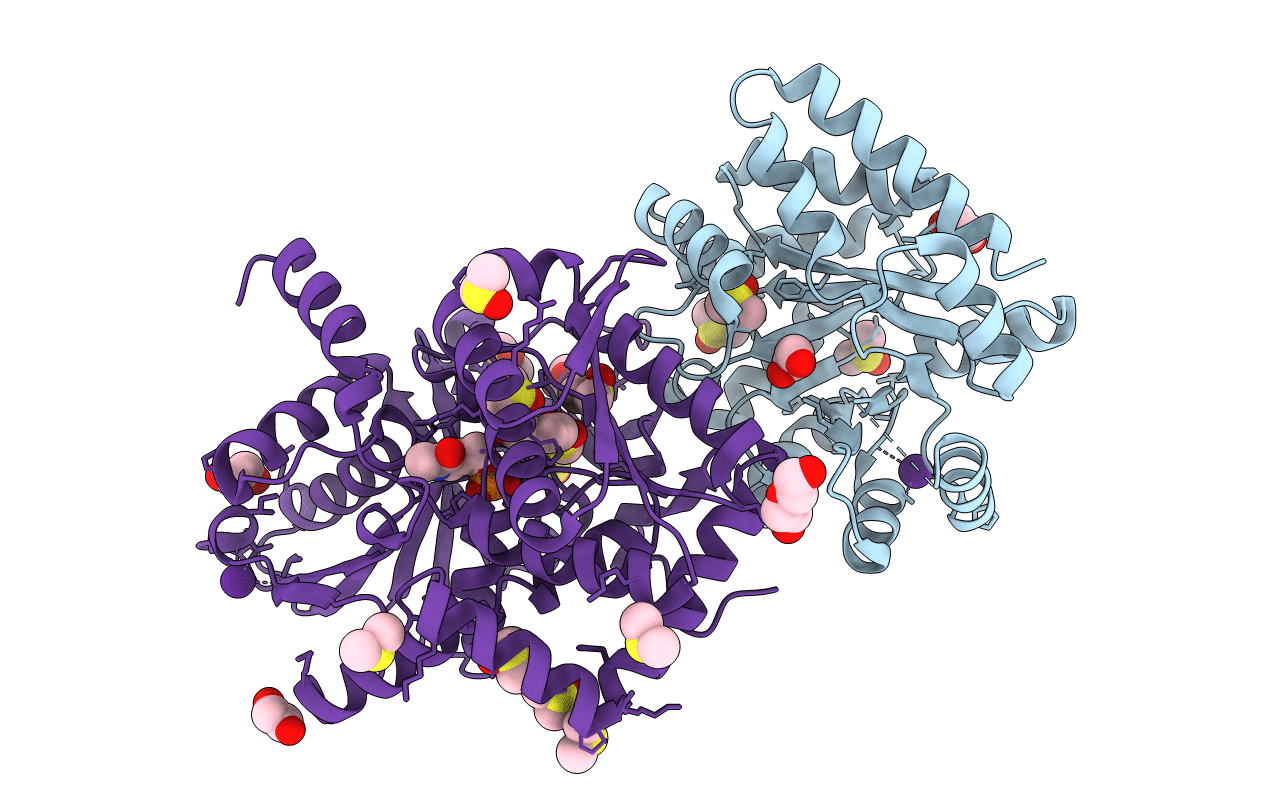 7L47 image