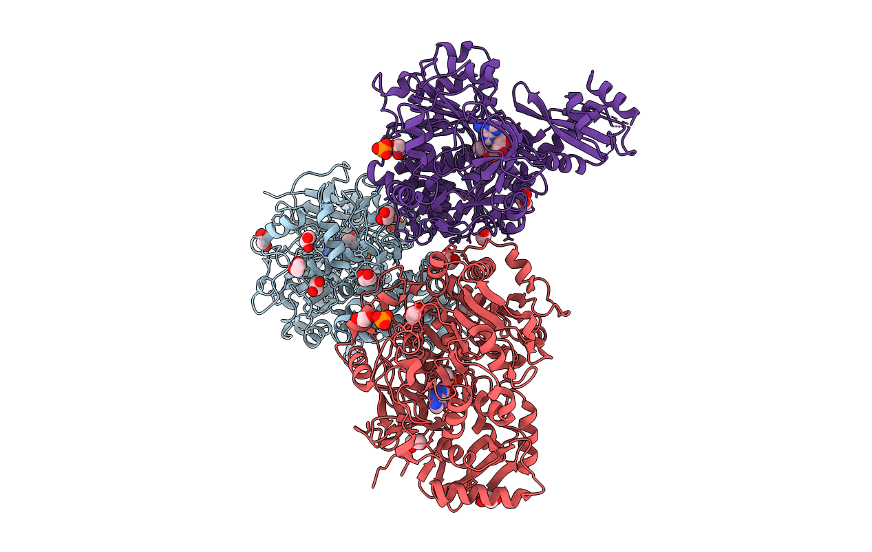 7L4G image