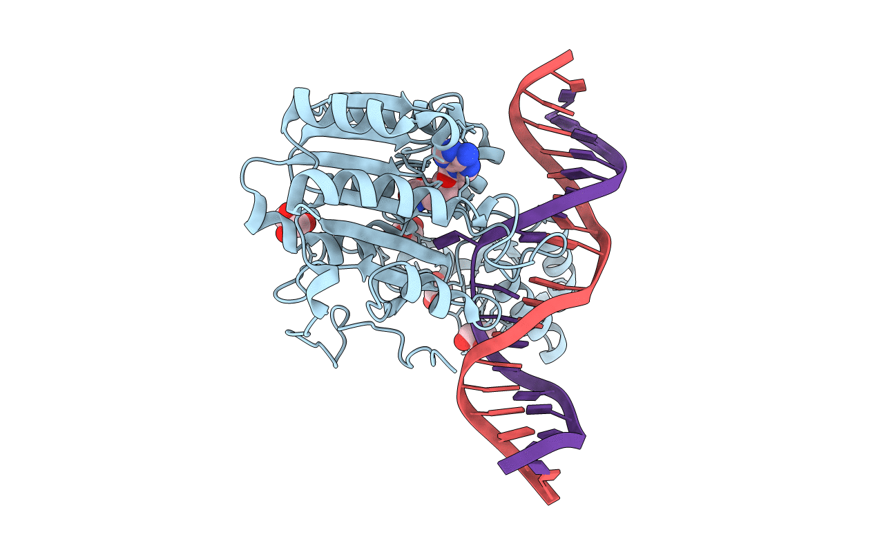 7L4H image