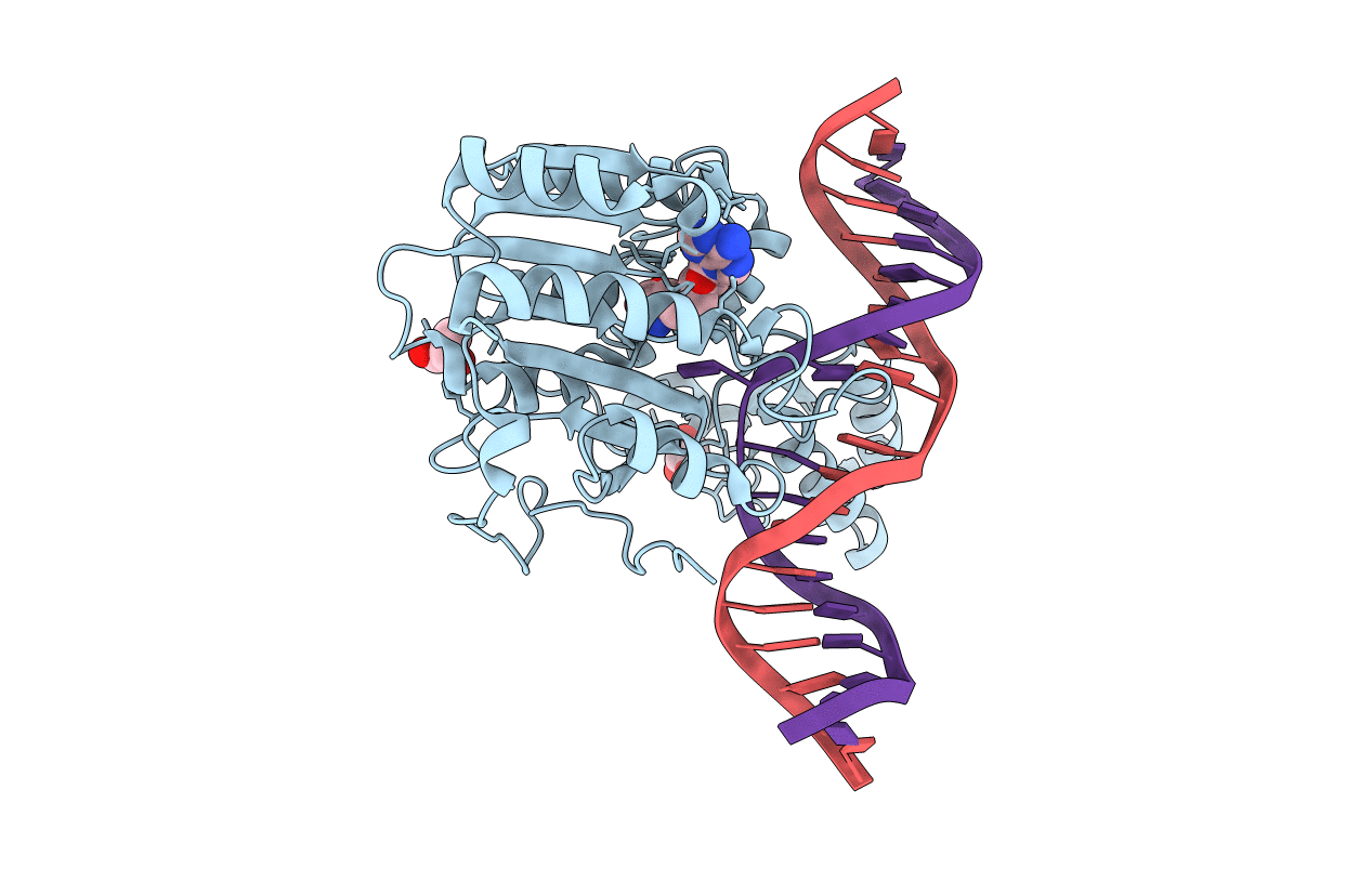 7L4K image