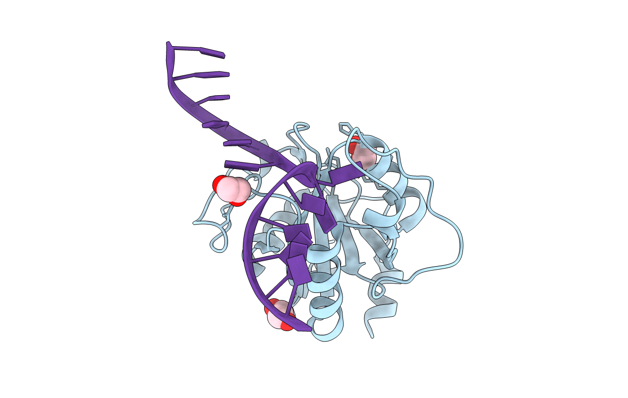 7L4X image