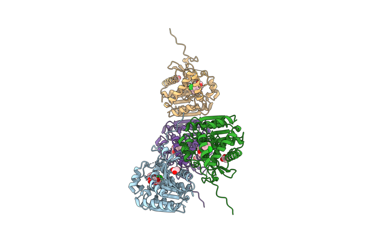 7L50 image