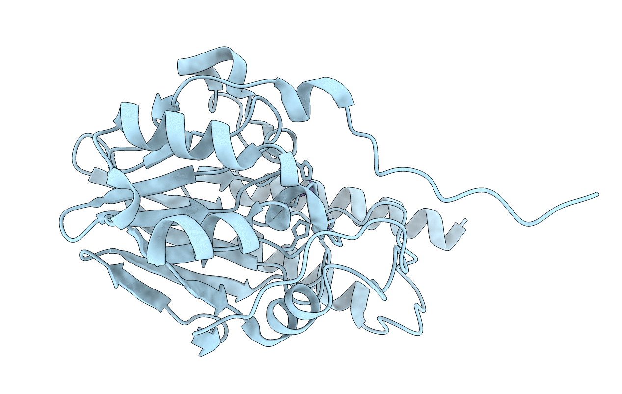 7L52 image
