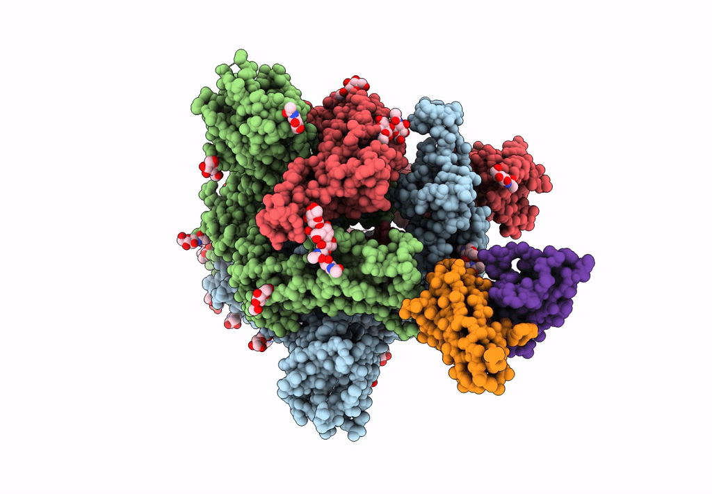 7L57 image