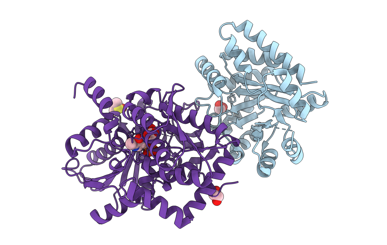 7L5H image
