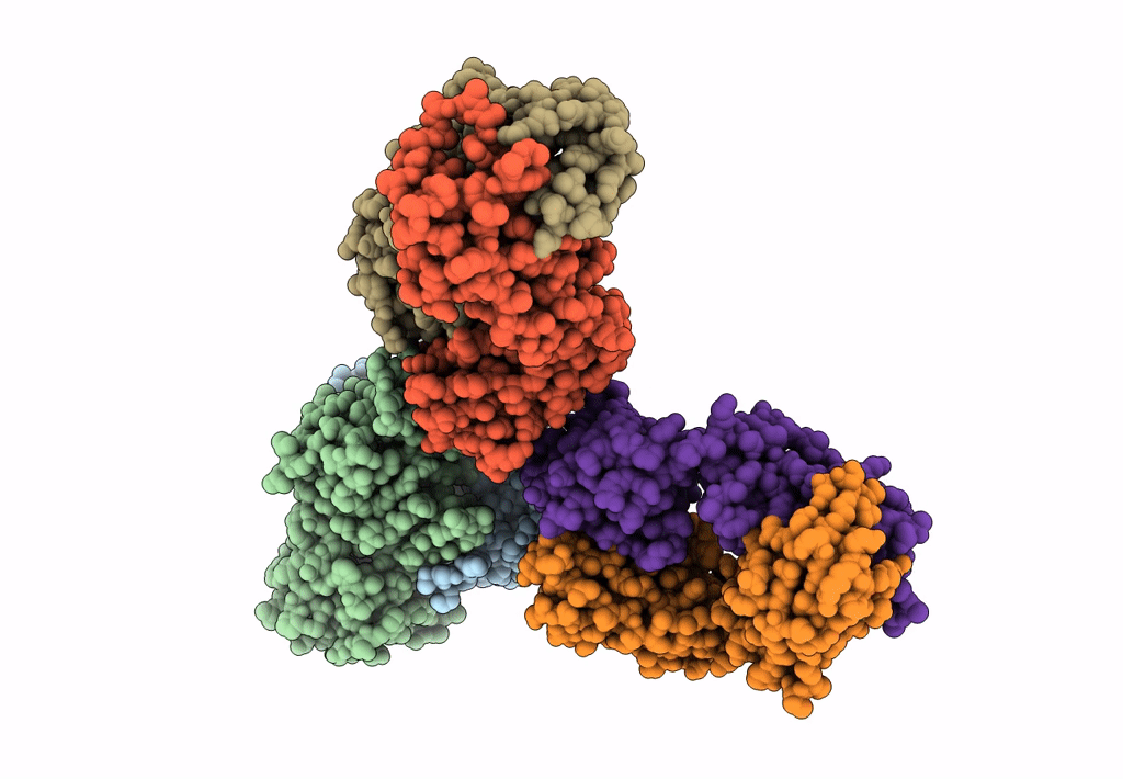 7L5J image