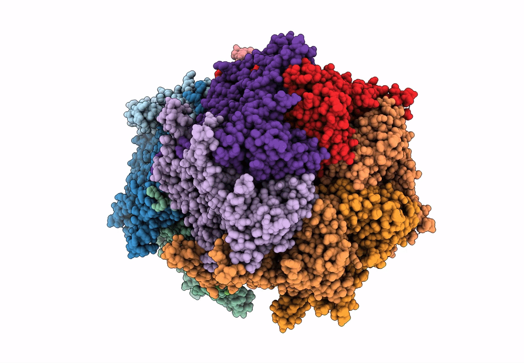 7L5W image