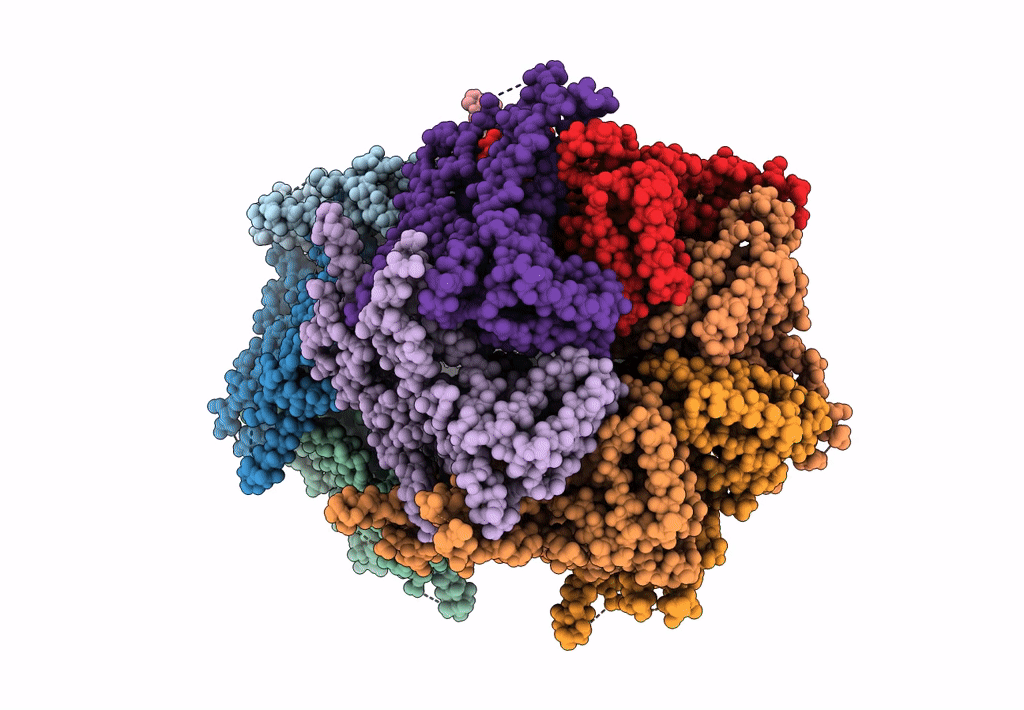 7L5X image
