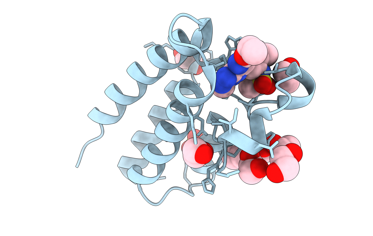 7L6D image