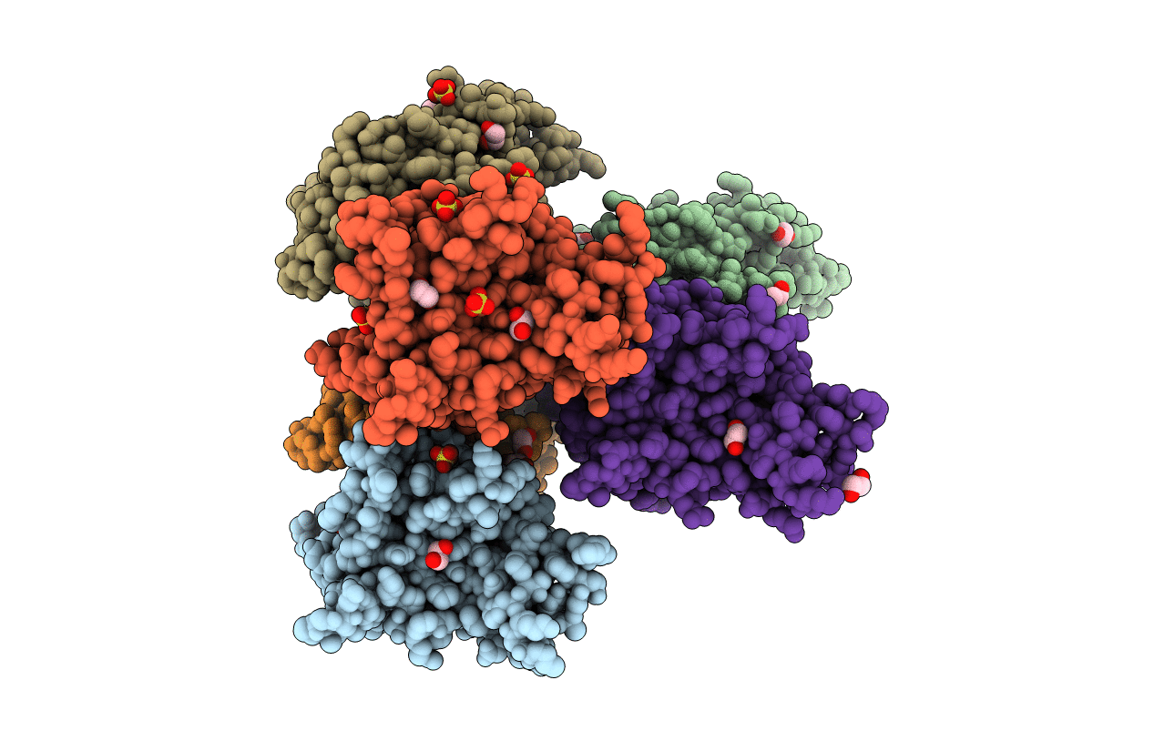7L6G image