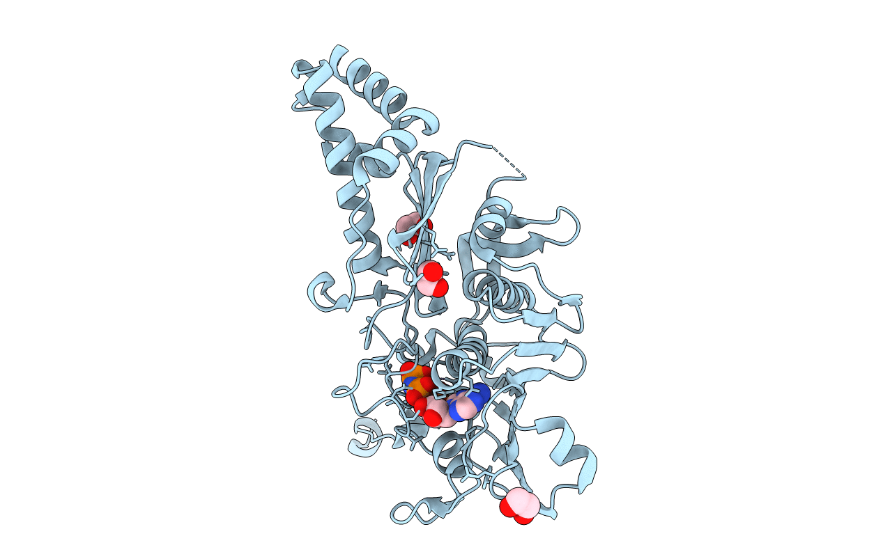 7L6S image