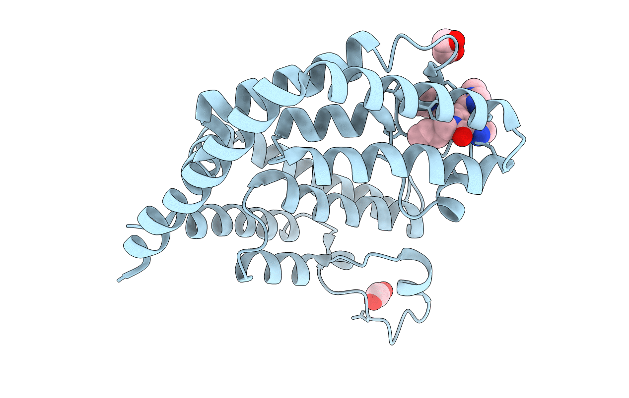 7L6X image