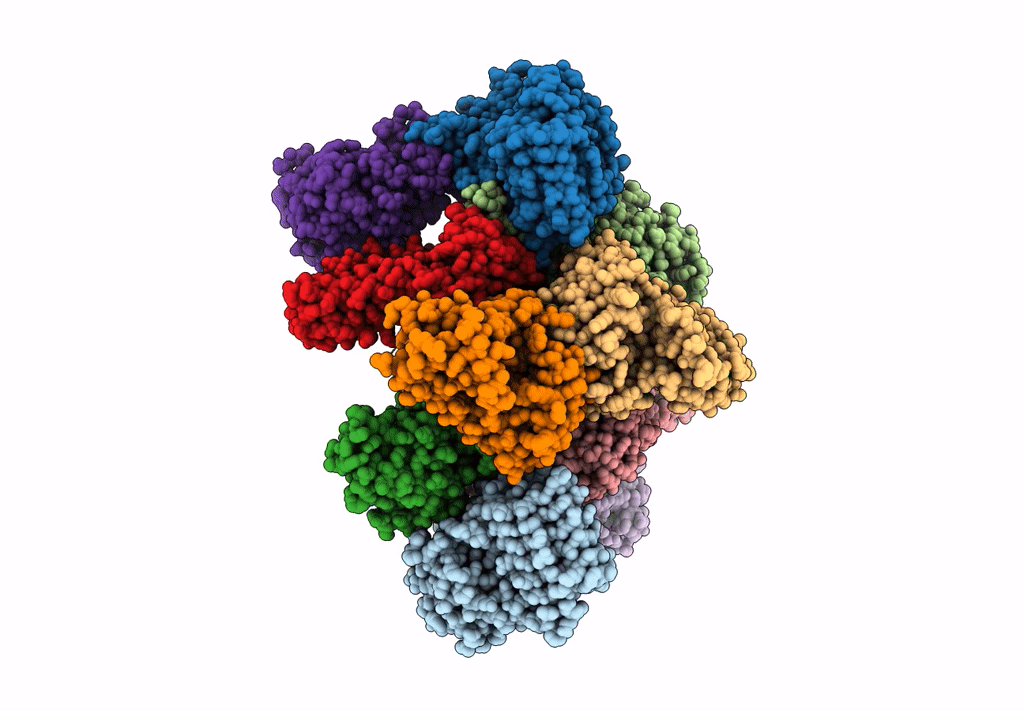 7L70 image