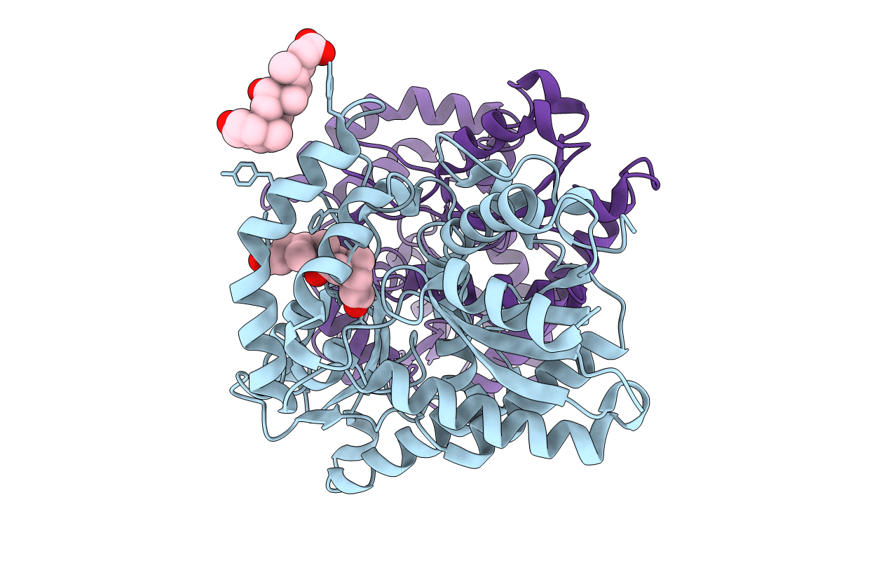 7L78 image