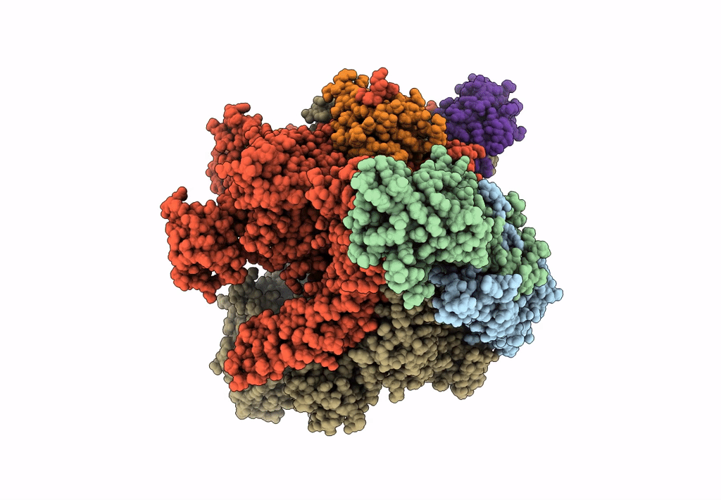 7L7B image