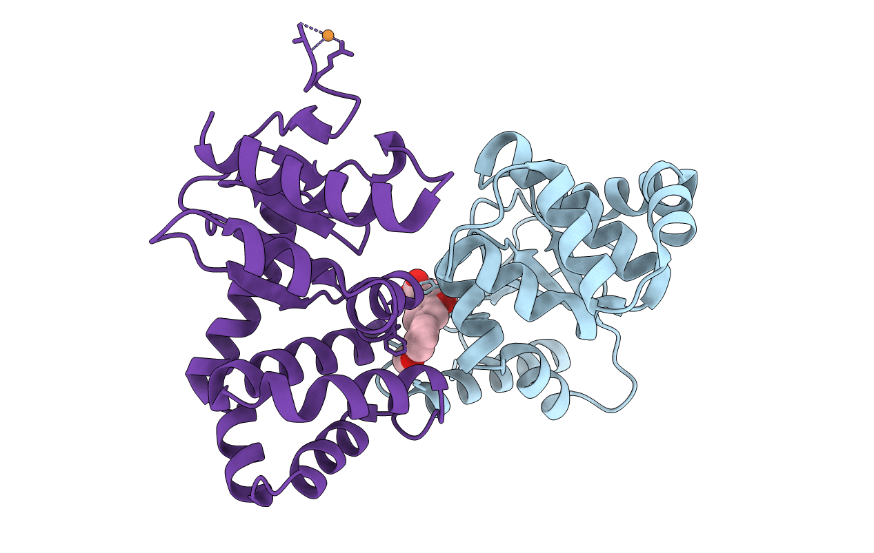 7L7C image