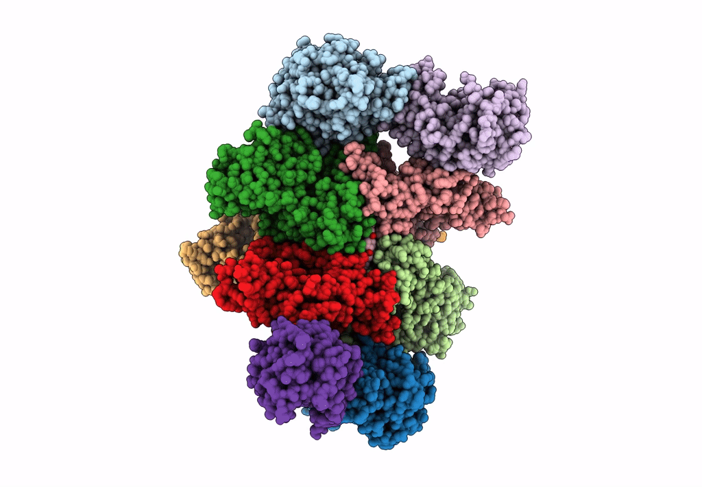 7L7G image