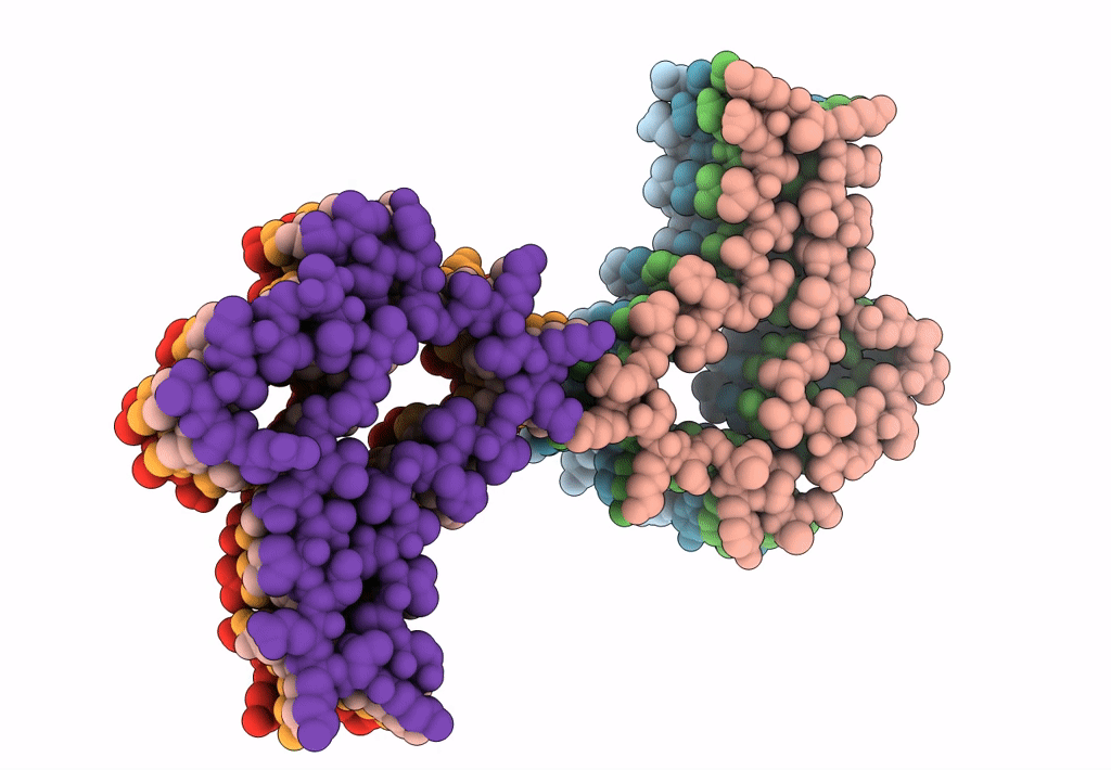 7L7H image