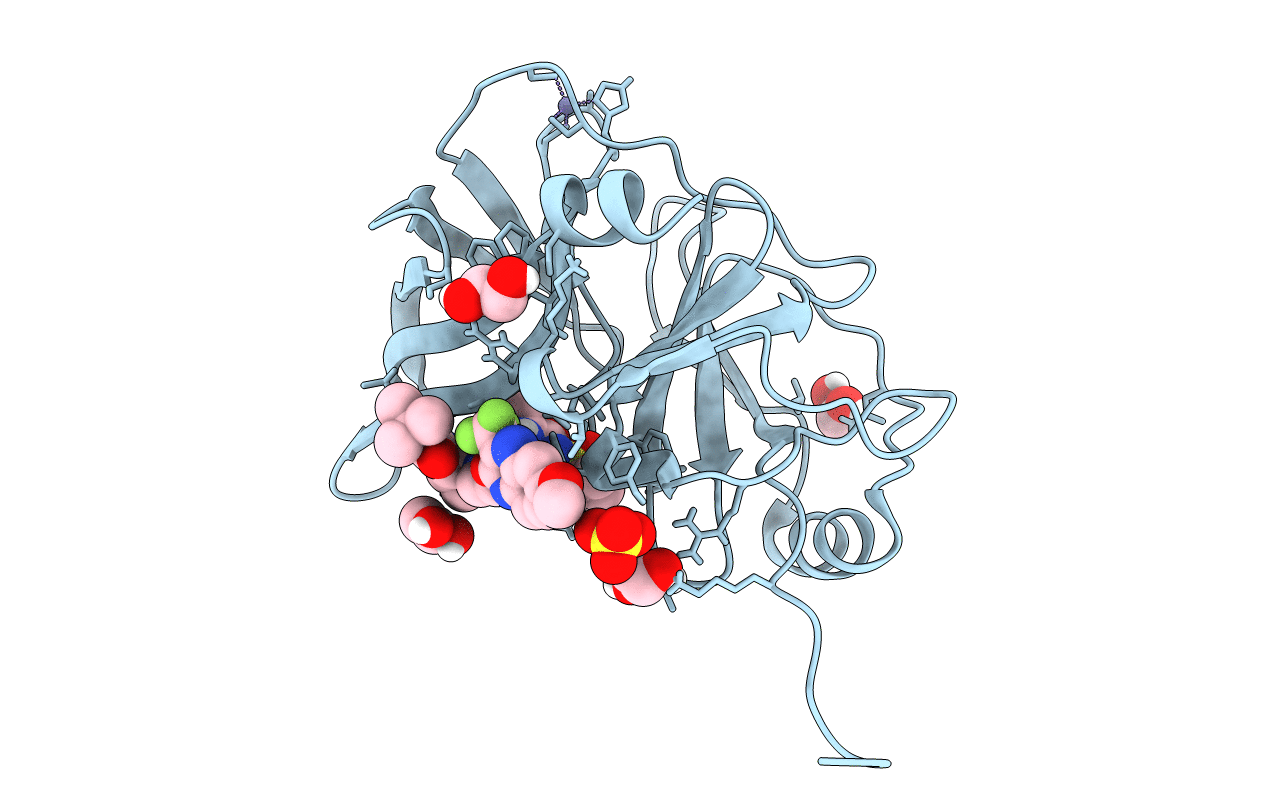7L7P image
