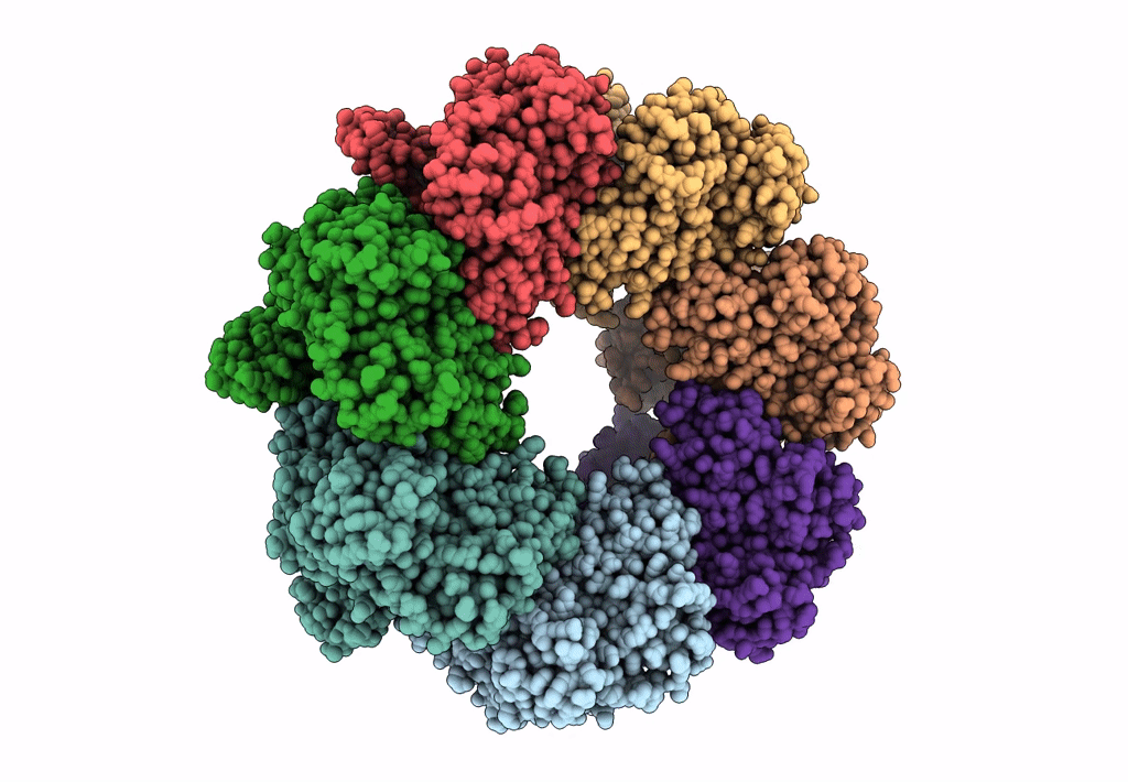 7L7S image