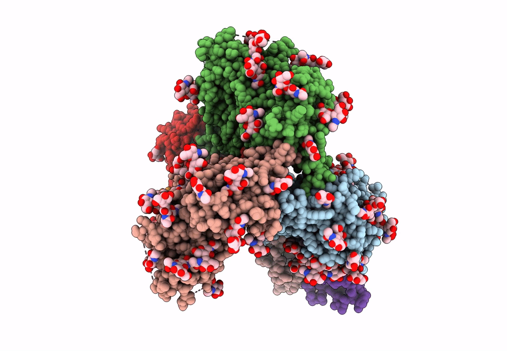 7L87 image