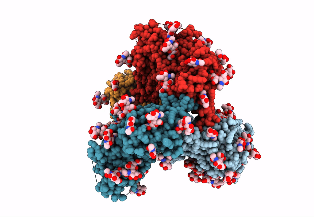 7L89 image
