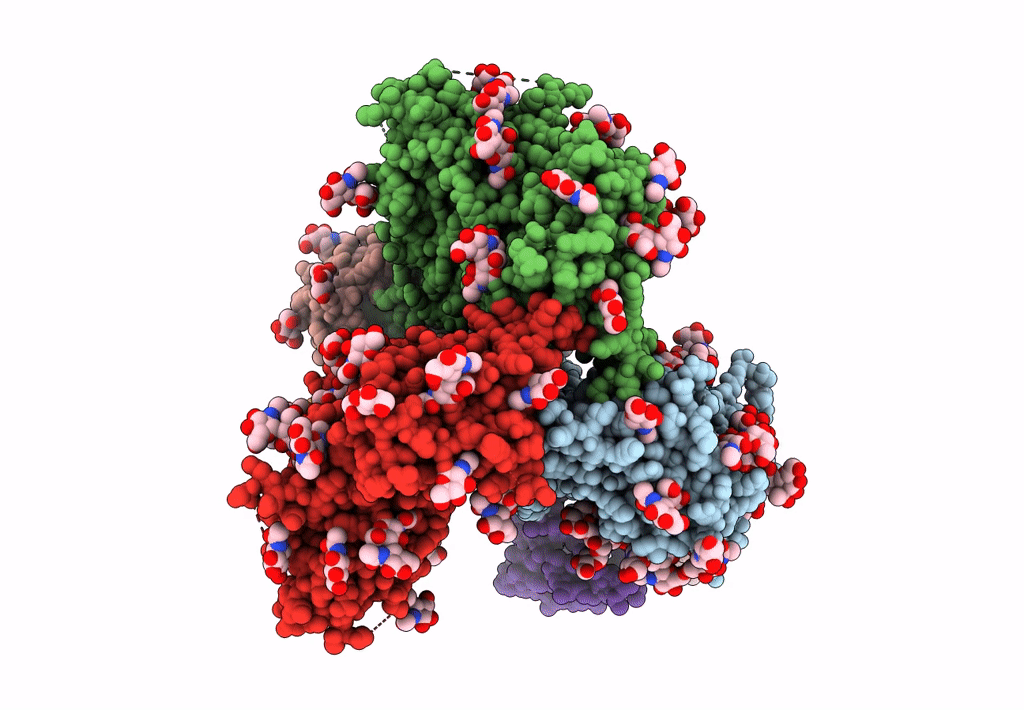 7L8B image