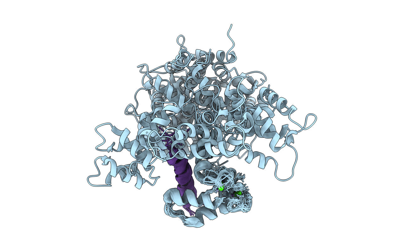 7L8V image