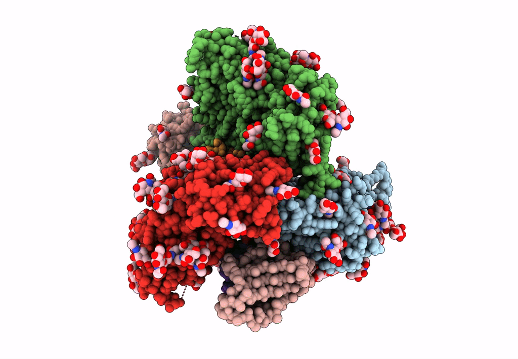 7L8X image