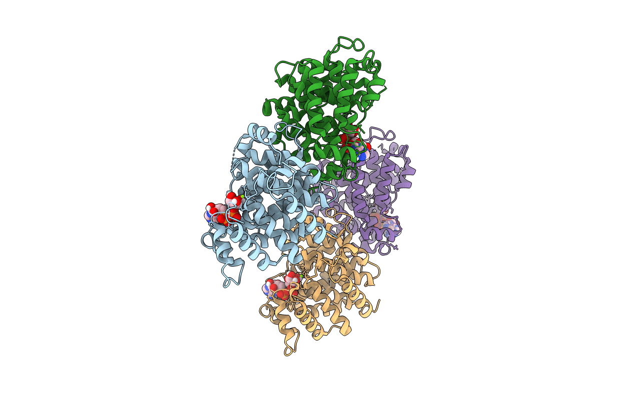 7L9I image