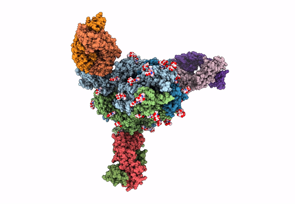 7LAB image