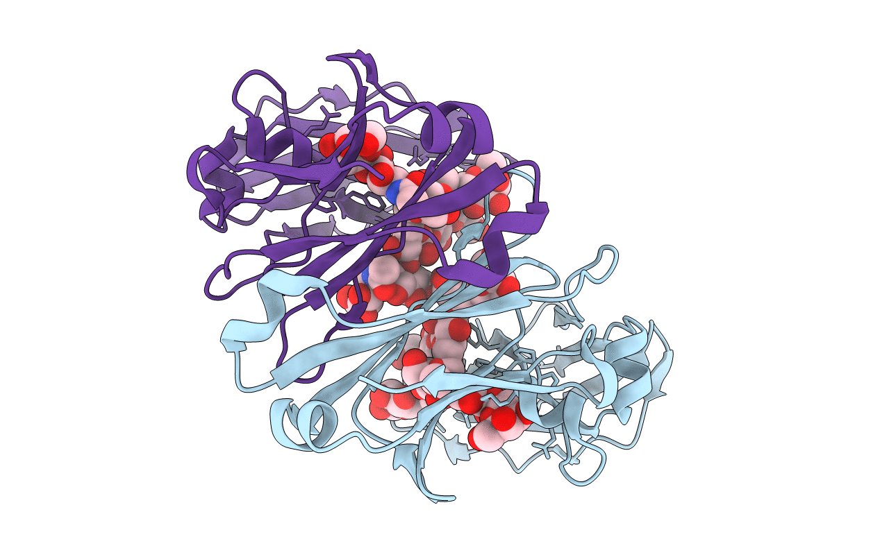 7LBL image