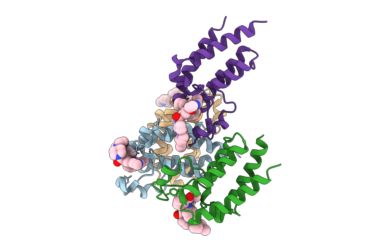7LBT image