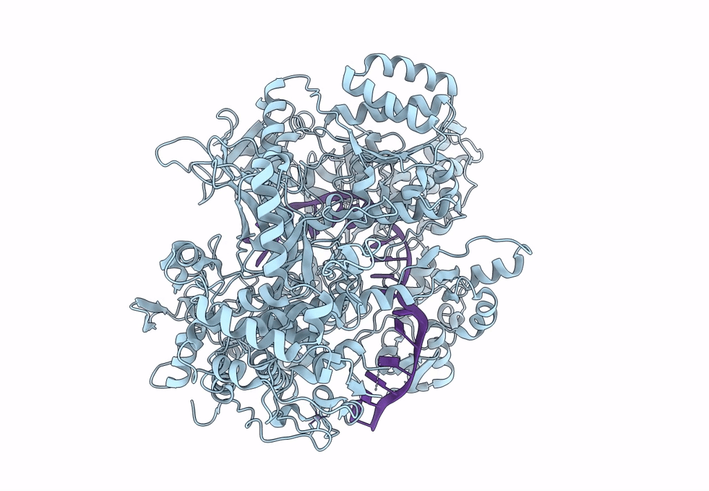 7LCC image