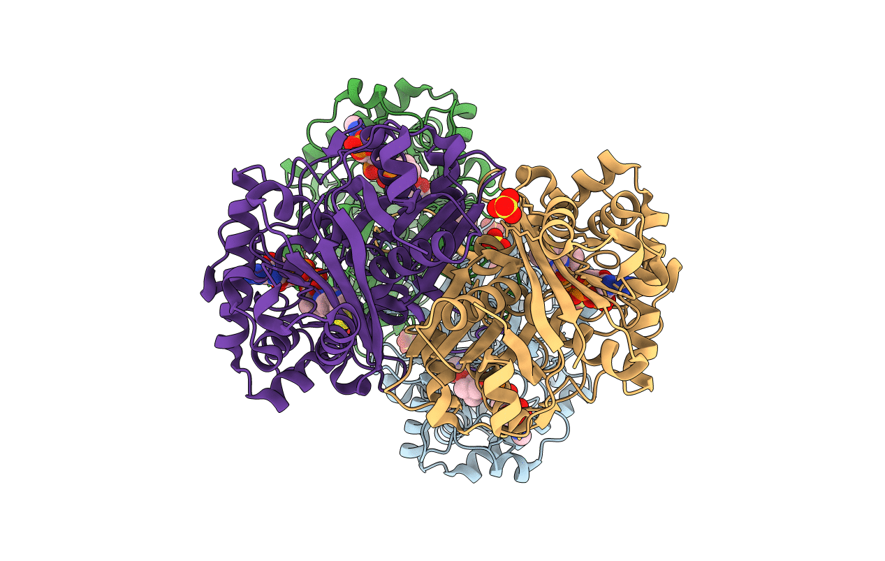 7LCL image