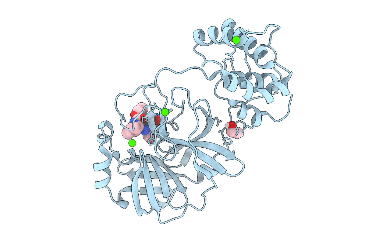 7LCP image