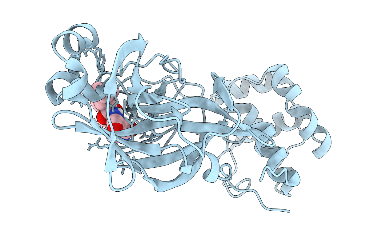 7LCT image