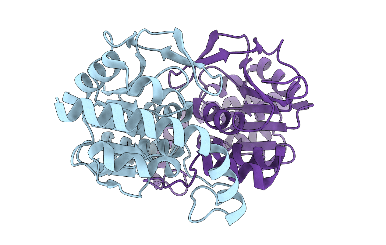 7LCX image