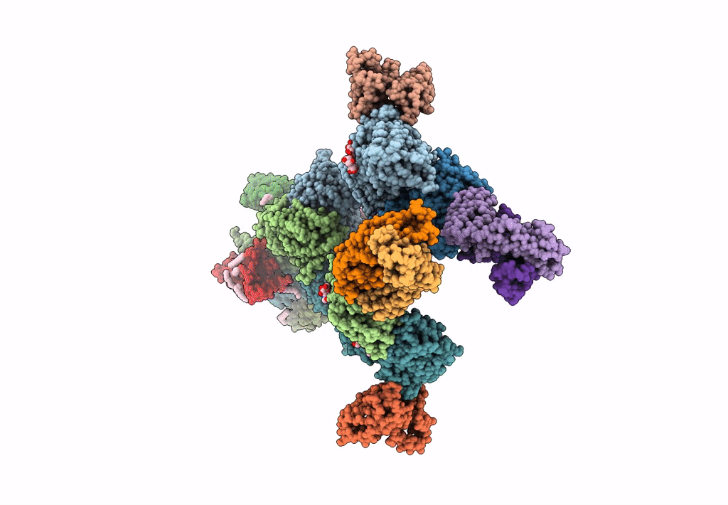 7LDD image