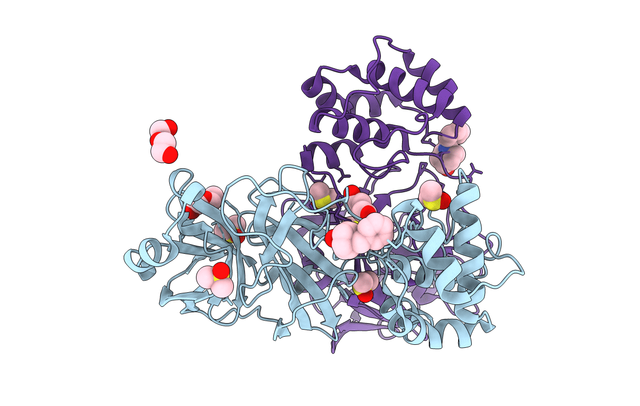 7LDX image