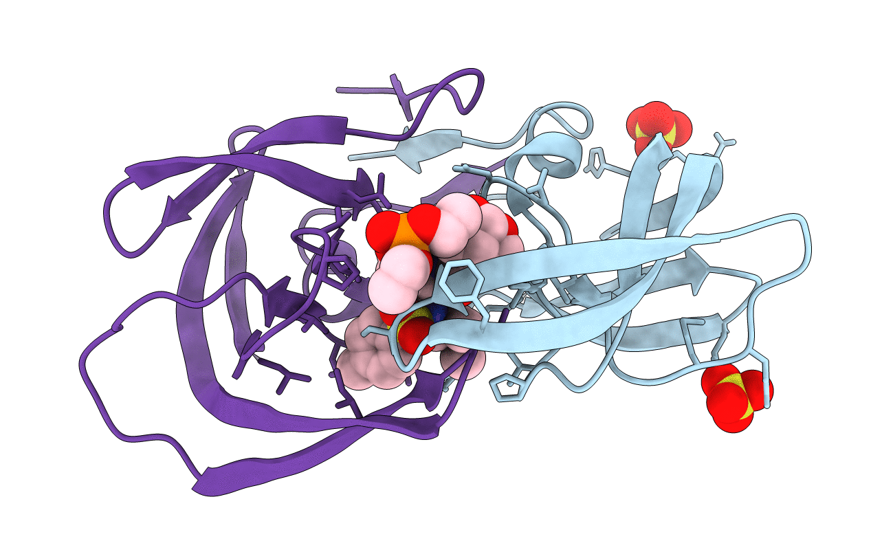 7LEC image
